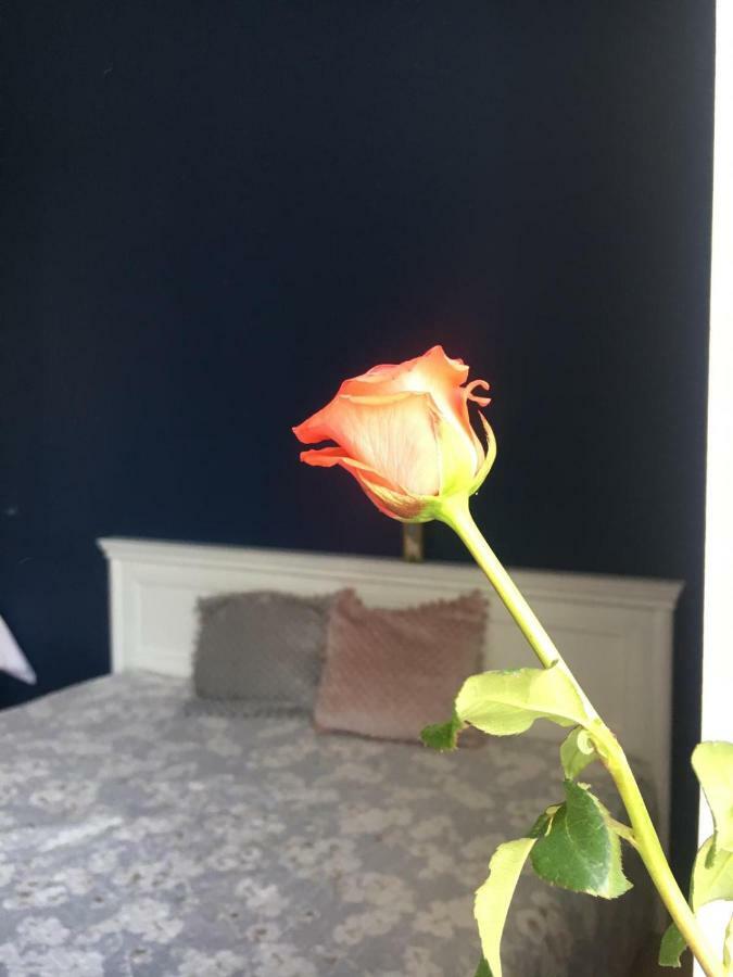 Apartament Rynek 11B Opole Kültér fotó